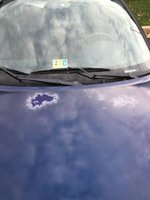 Cavalier Cavalier