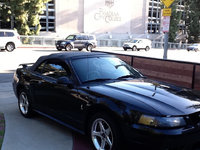 Mustang SVT Cobra Mustang SVT Cobra