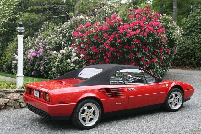 1986 Ferrari Mondial User Reviews Cargurus
