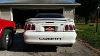 Mustang SVT Cobra Mustang SVT Cobra