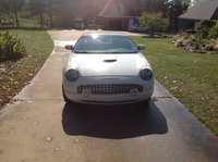 Thunderbird Thunderbird