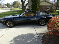 Firebird Firebird