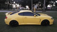 Tiburon Tiburon