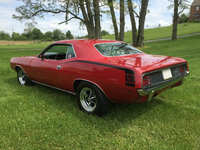 Barracuda Barracuda