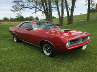 Barracuda Barracuda