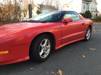 Firebird Firebird
