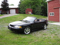 Mustang SVT Cobra Mustang SVT Cobra