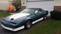 Firebird Firebird
