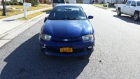 Cavalier Cavalier