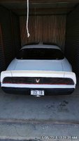 Firebird Firebird
