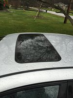 Forenza Forenza