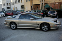 Firebird Firebird