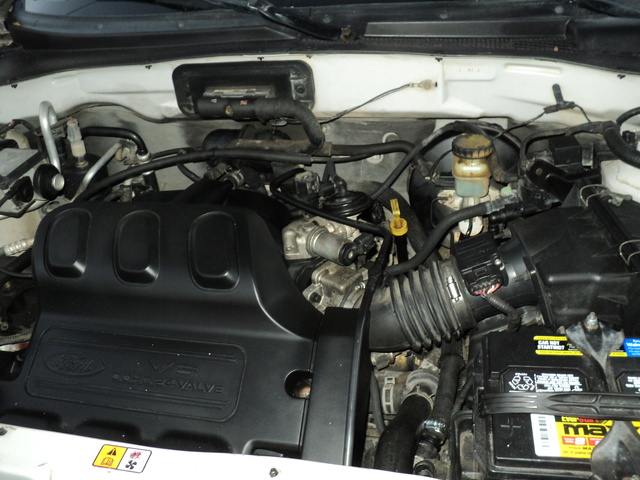 2004 Ford Escape - Pictures - CarGurus