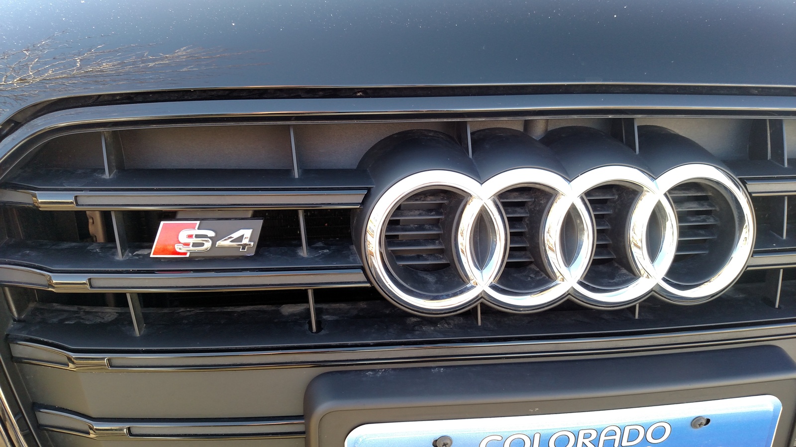 2015 2016 Audi S4 For Sale In Your Area Cargurus