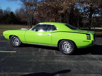 Barracuda Barracuda
