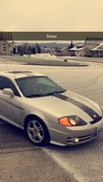 Tiburon Tiburon