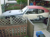 Skylark Skylark