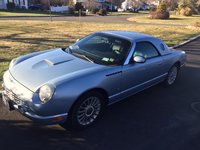 Thunderbird Thunderbird