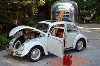 1960 Volkswagen Beetle Picture Gallery