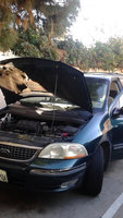 Windstar Windstar
