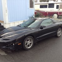 Firebird Firebird
