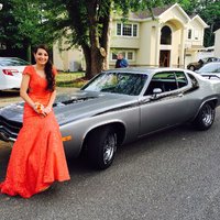 Road Runner Road Runner