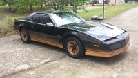 Firebird Firebird