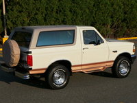 Bronco Bronco