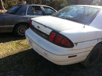Lumina Lumina