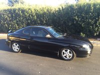 Tiburon Tiburon