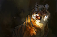 saifulpathan saifulpathan
