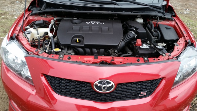 2010 Toyota Corolla - Pictures - CarGurus