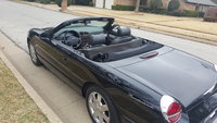 Thunderbird Thunderbird
