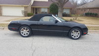 Thunderbird Thunderbird