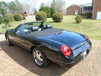 Thunderbird Thunderbird
