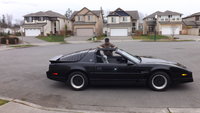 Firebird Firebird