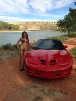 Firebird Firebird