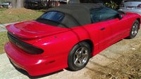Firebird Firebird
