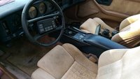 Firebird Firebird