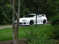 Supra Supra