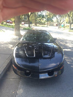 Firebird Firebird