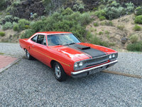 Road Runner Road Runner