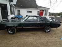 Skylark Skylark