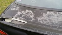 Cavalier Cavalier