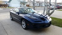 Firebird Firebird