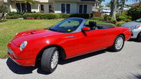 Thunderbird Thunderbird
