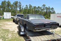 Thunderbird Thunderbird