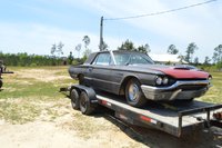 Thunderbird Thunderbird