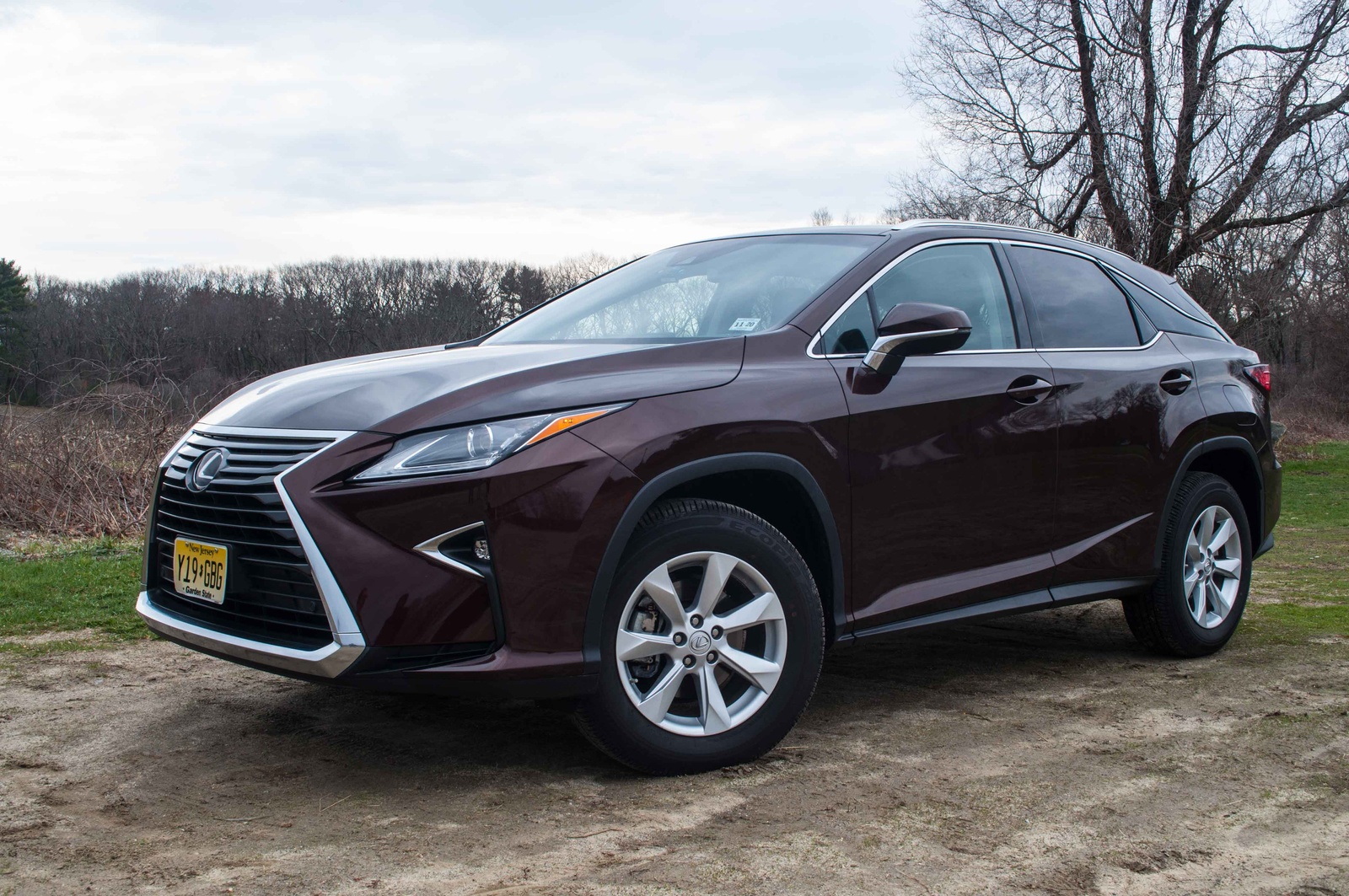 2016 Lexus Rx 350 Overview Cargurus