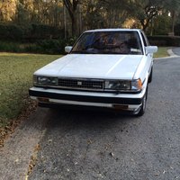 Cressida Cressida